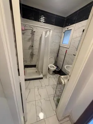 a bathroom with a shower and a toilet at One bedroom apartment in center of the city in Hurghada