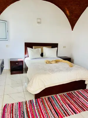 a bedroom with a large bed with a rug on the floor at Orange guest house in Luxor