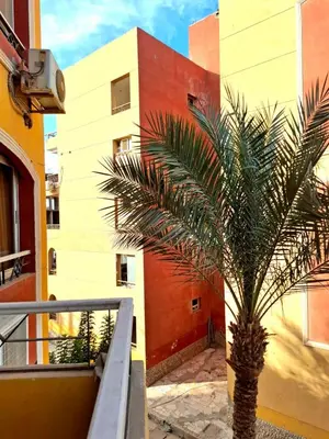 Gallery image of Elhambra Compound in Hurghada