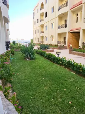 a lawn in front of a building at Beachfront luxury Palm Beach Piazza Private Beach in Hurghada