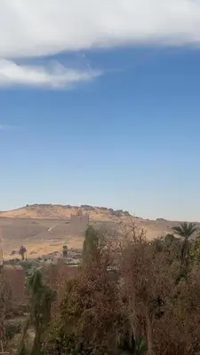 a view of a desert with trees and a field at malee cashie in Aswan