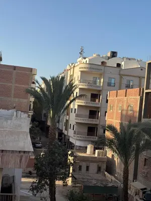 a tall white building with palm trees in a city at apartment 20 in Hurghada