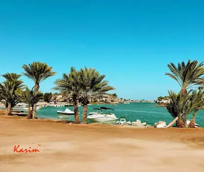 a beach with palm trees and boats in the water at Studio For Rent in El Gouna Kafr in Hurghada