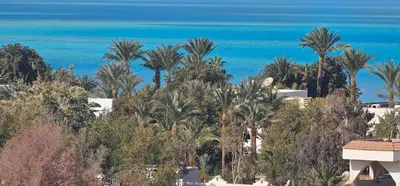 a view of a resort with palm trees and the ocean at Apartment 95sqm with sea view in Hurghada