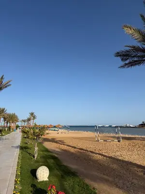a sandy beach with palm trees and the ocean at Studio in gravity hotel & aquapark hurghada in Hurghada
