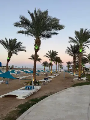 a row of palm trees on a beach with surfboards at Studio in gravity hotel & aquapark hurghada in Hurghada