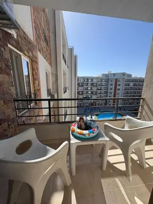 a dog laying on a bed on a balcony at TIBA GOLDEN Hurgada in Hurghada