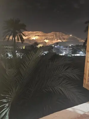 a palm tree in front of a city at night at Hepton hotel
