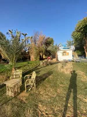 a shadow of a person standing next to chairs and tables at Rooma ka Guest House in Aswan