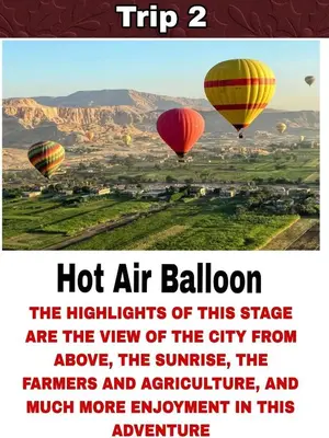 a poster of hot air balloons flying over a field at Felucca Ride