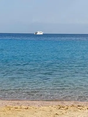 a boat in the middle of the ocean with a beach at فندق جوليانا بيتش in Hurghada