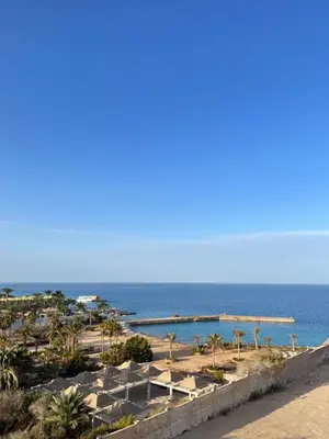 a view of a beach with palm trees and the ocean at Juliana Beach Resort, Hurghada in Hurghada