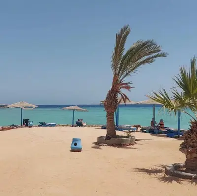 a sandy beach with palm trees and the ocean at Tiba Golden Resort Hurghada in Hurghada