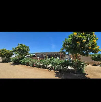 a group of trees and flowers in a garden at Luxury Apartment Pool&Private Beach in Hurghada