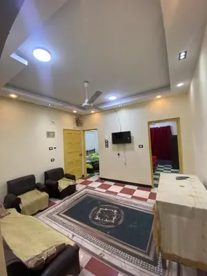 Gallery image of الباشا الأقصر in Luxor