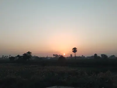 a sunset over a field with a palm tree at Luxor heaven apartment in Luxor