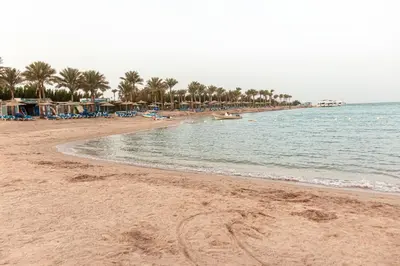 a sandy beach with palm trees and the ocean at Mirage Bay Resort Hurghada C-781 in Hurghada