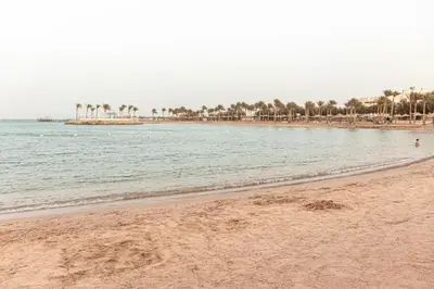 a beach with palm trees and the ocean at Mirage Bay Resort Hurghada B-780 in Hurghada