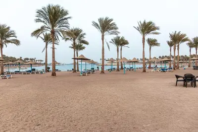 a beach with palm trees and chairs and the ocean at Mirage Bay Resort Hurghada C-775 in Hurghada