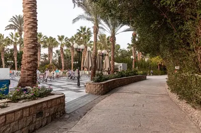 a walkway with umbrellas and palm trees in a park at Mirage Bay Resort Hurghada C-775 in Hurghada