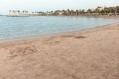 a sandy beach with palm trees and the ocean at Mirage Bay Resort Hurghada C797 in Hurghada