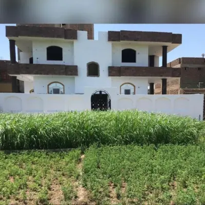 a white building with a bunch of grass in front of it at The Palace Guesthouse in Luxor