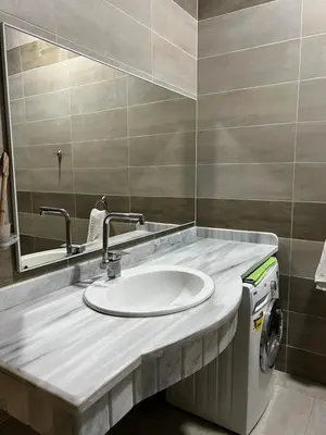 a bathroom with a sink and a washing machine at The Palace Guesthouse in Luxor