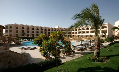 a resort with a pool and palm trees and a building at Flamenco Beach & Resort Quseir in Quseir