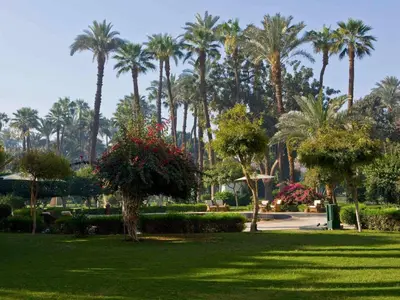 a park with palm trees and green grass at Sofitel Winter Palace Luxor in Luxor