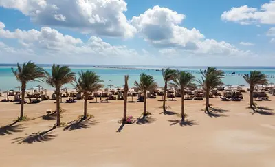 a beach with palm trees and umbrellas and the ocean at Casa Mare Resort - ex, Royal Tulip Beach Resort in Port Ghalib