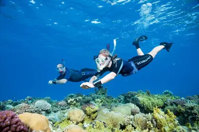 two people swimming over a coral reef at Turtle's Inn Hotel in Hurghada