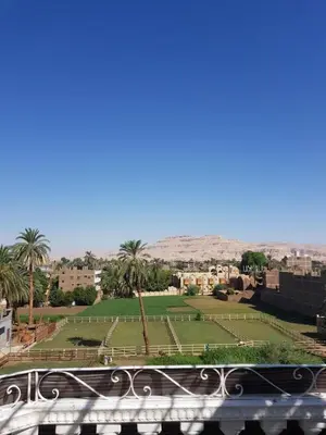a view of a park with palm trees at Royal Apartments Luxor in Luxor