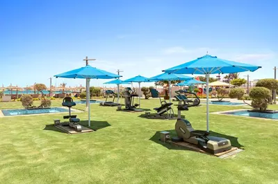 a group of blue umbrellas and chairs and a pool at Pickalbatros White Beach Resort - Hurghada in Hurghada