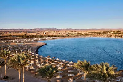 a beach with umbrellas and palm trees and a pool at JAZ Lamaya Resort in Coraya Bay
