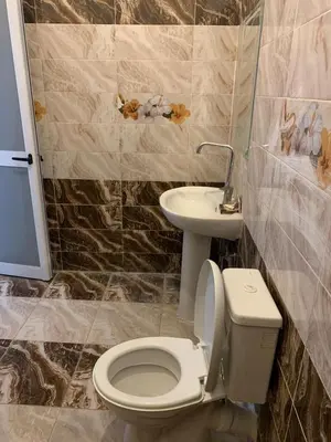 a bathroom with a toilet and a sink at Villa Elhag Nile View in Luxor