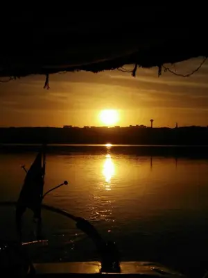 a dog standing in the water at sunset at The Mango Guest House in Aswan