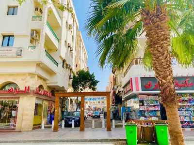 a palm tree on the side of a city street at Angie House Embassy area with wi fi in Hurghada