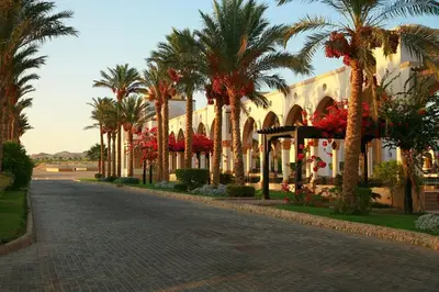 a street with palm trees in front of a building at Palm Beach Piazza Apart hotel Sahl Hasheesh in Hurghada