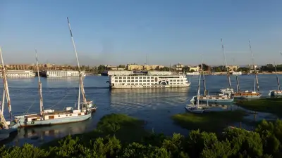 a group of boats are docked in a harbor at Terrasses et Jardins sur le Nil chez Hagag rive Ouest in Luxor