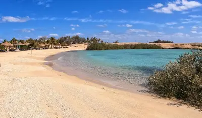 a beach with clear blue water and trees on it at Mangrove Bay Resort in Quseir