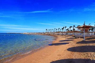 a beach with a row of umbrellas and the ocean at Pickalbatros Jungle Aqua Park - Neverland Hurghada in Hurghada