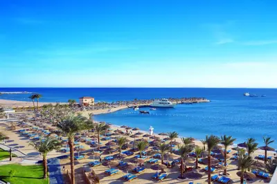 a beach with chairs and palm trees and the ocean at Pickalbatros Aqua Vista Resort - Hurghada in Hurghada