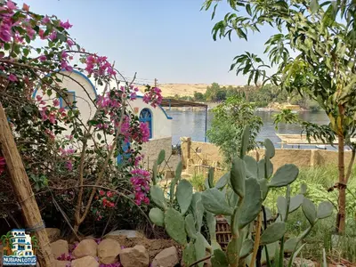 a garden with flowers and a building and a body of water at Nubian Lotus in Aswan