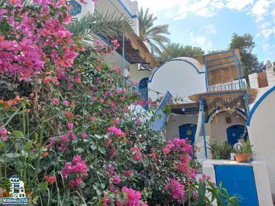 a garden with pink flowers in front of a building at Nubian Lotus in Aswan