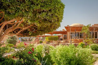 a garden in front of a building with trees and flowers at Silver Beach Boutique Hotel in Quseir