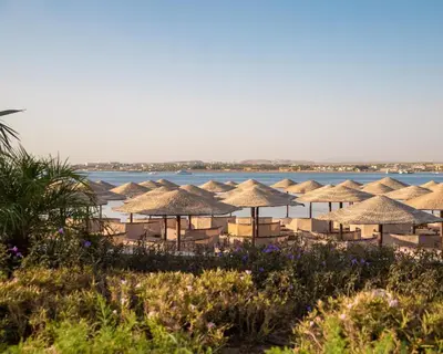 a row of straw umbrellas on a beach at Grand Waterworld Makadi - Couples and Families Only in Hurghada