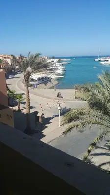 a view of a beach with palm trees and the ocean at Aprtment at Abu Tig Marina - MP6 in Hurghada