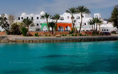 a building with palm trees and a body of water at Arabella Azur Resort in Hurghada