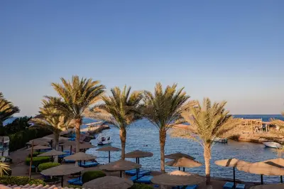a group of umbrellas and palm trees on a beach at Sand Beach Resort in Hurghada