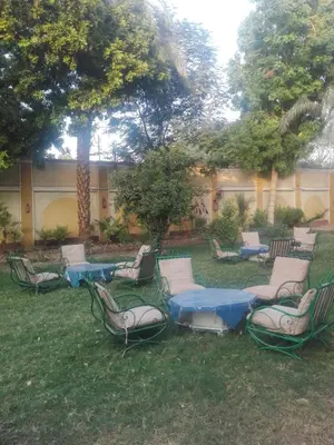 a group of chairs and tables in the grass at Rezeiky Hotel & Camp 您在盧克索的第二個家 in Luxor